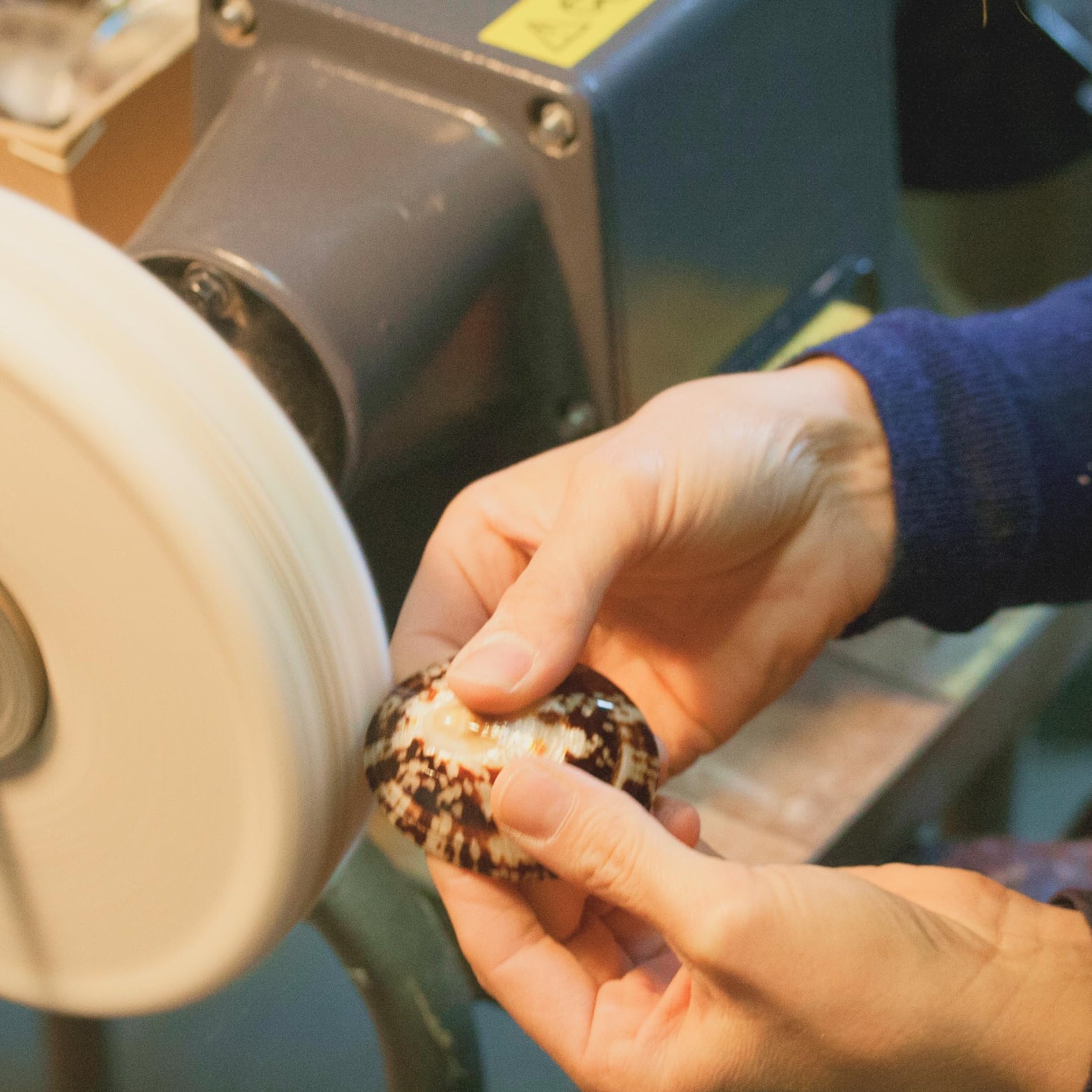 Coquillage nacre allaitement