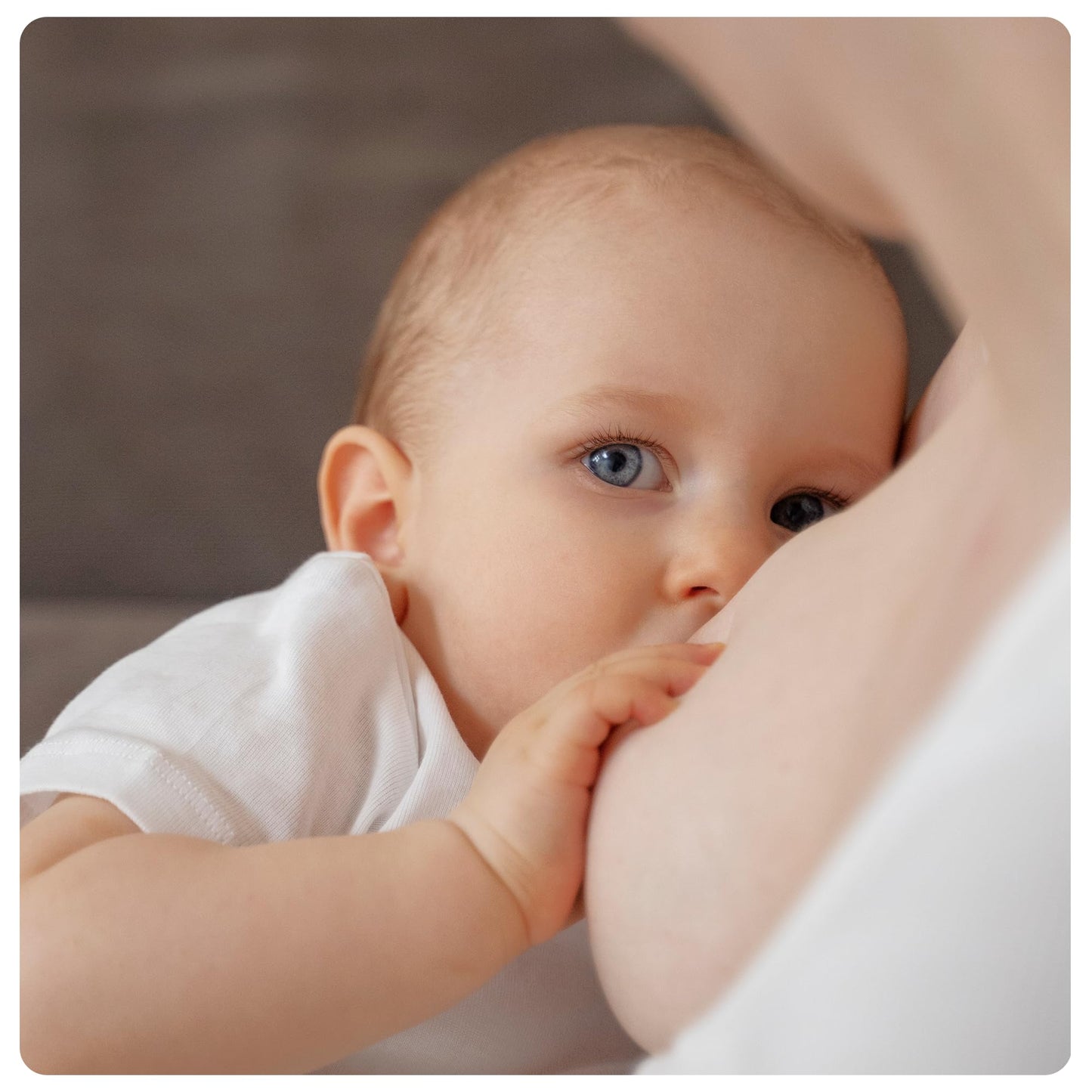 Coquillage nacre allaitement