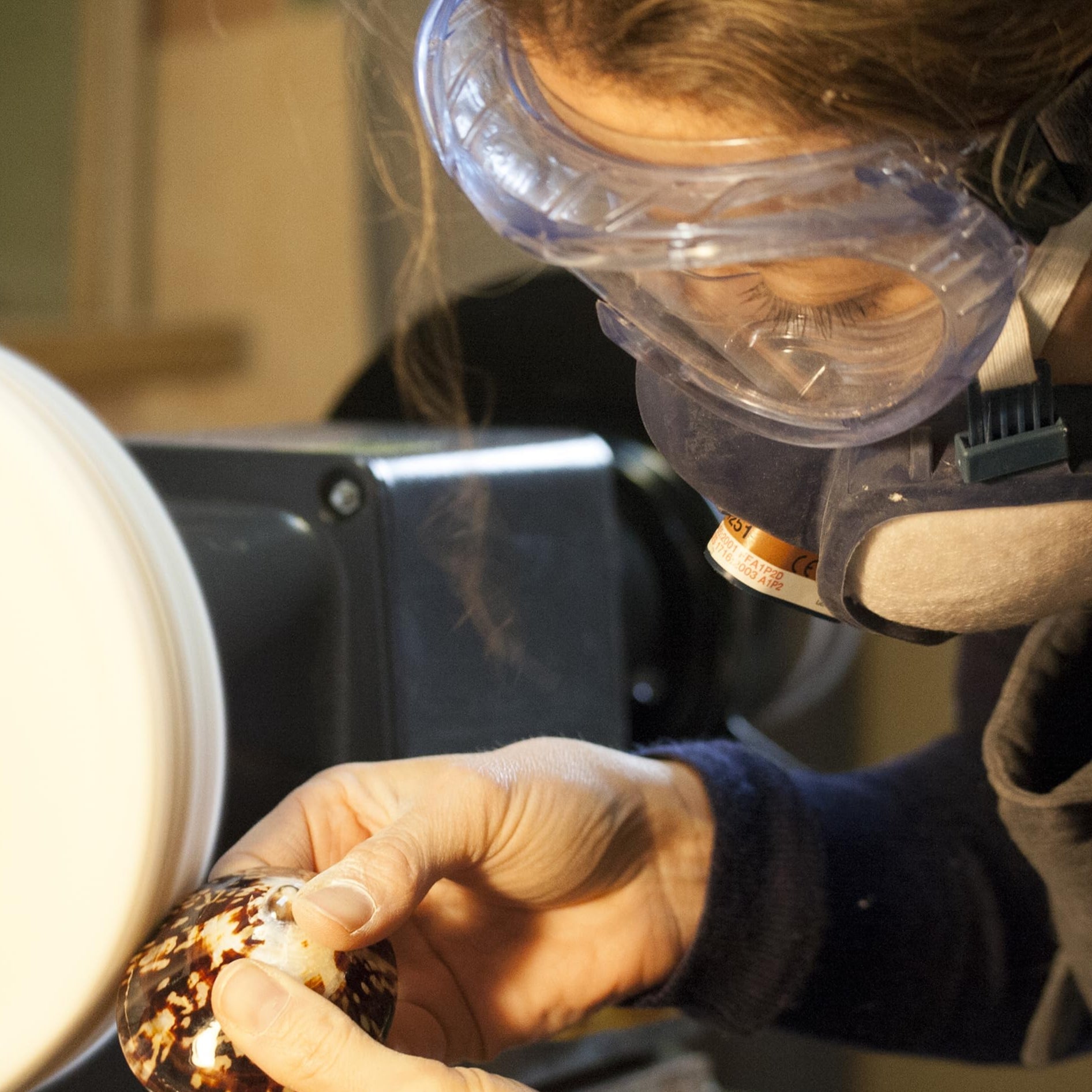 Coquillage nacre allaitement