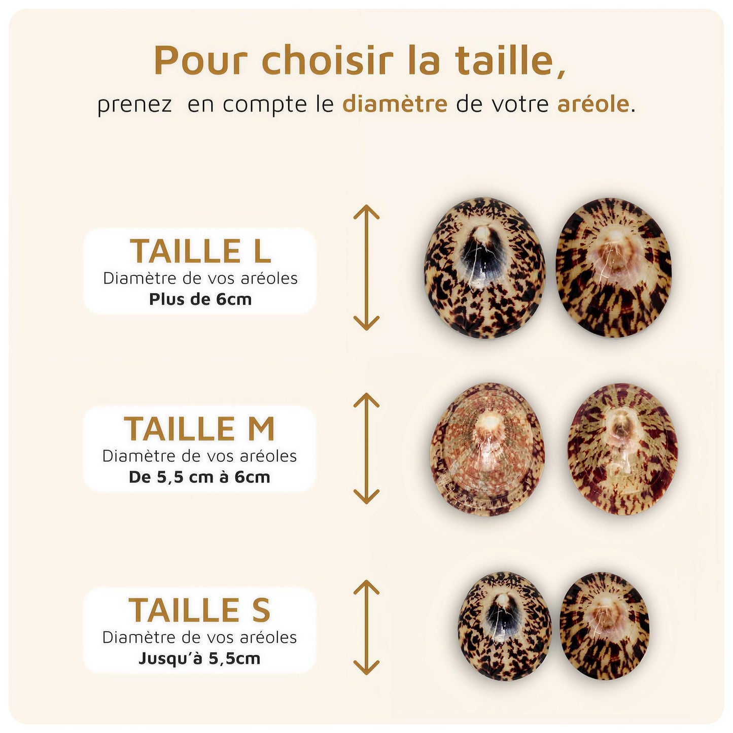 Coquillage nacre allaitement