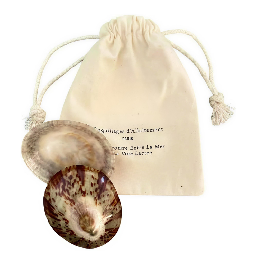 Coquillage nacre allaitement - S