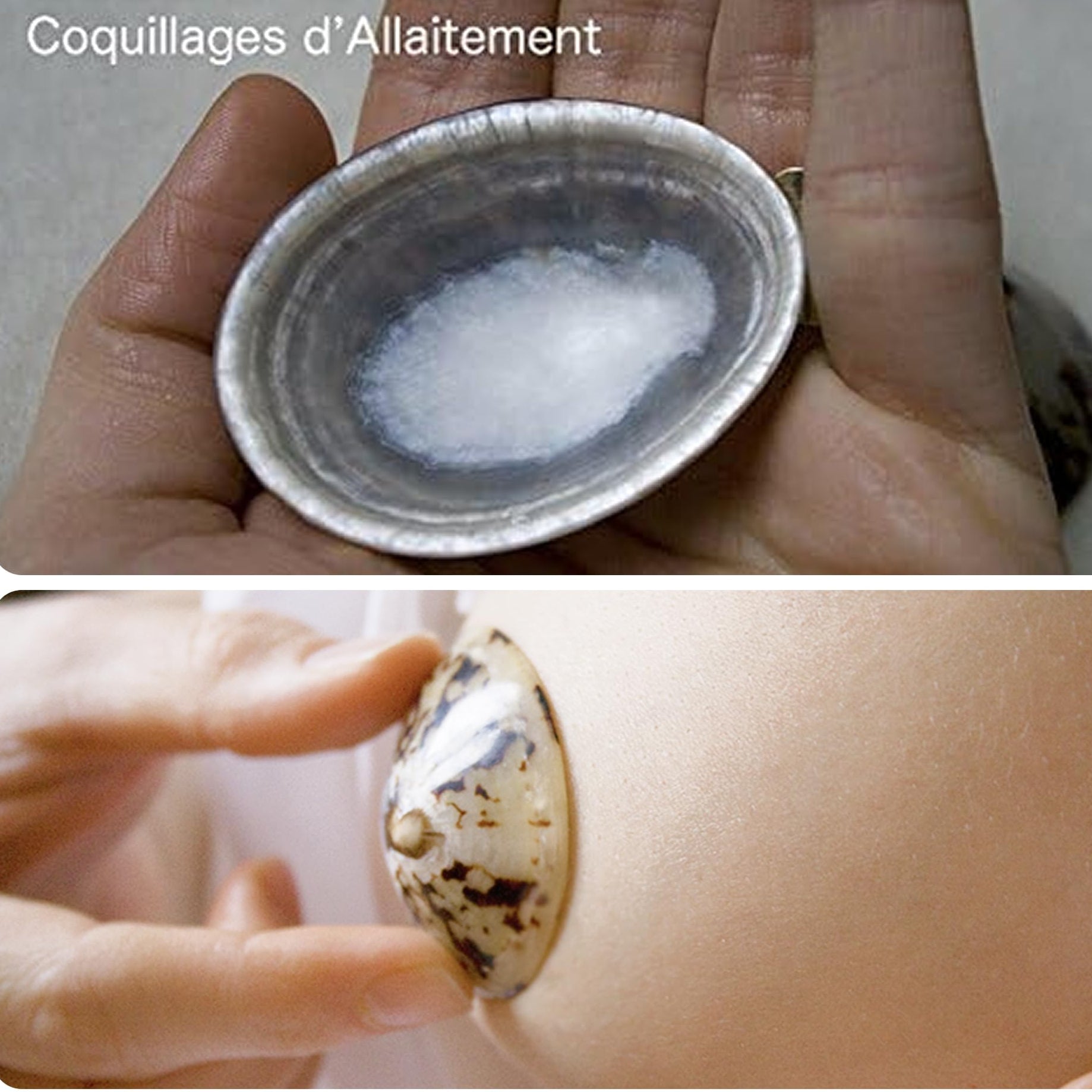 Coquillage nacre allaitement
