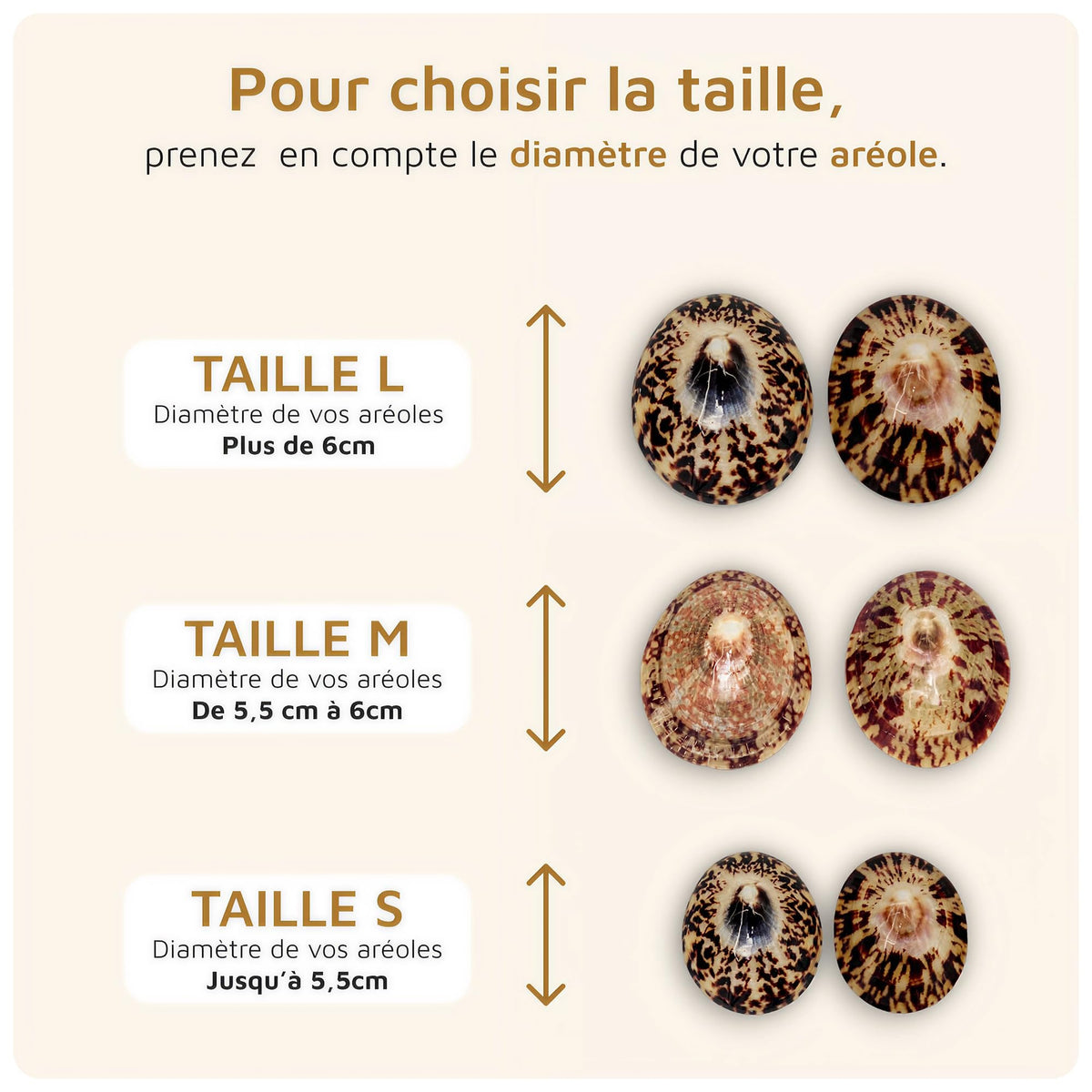 Coquillage nacre allaitement