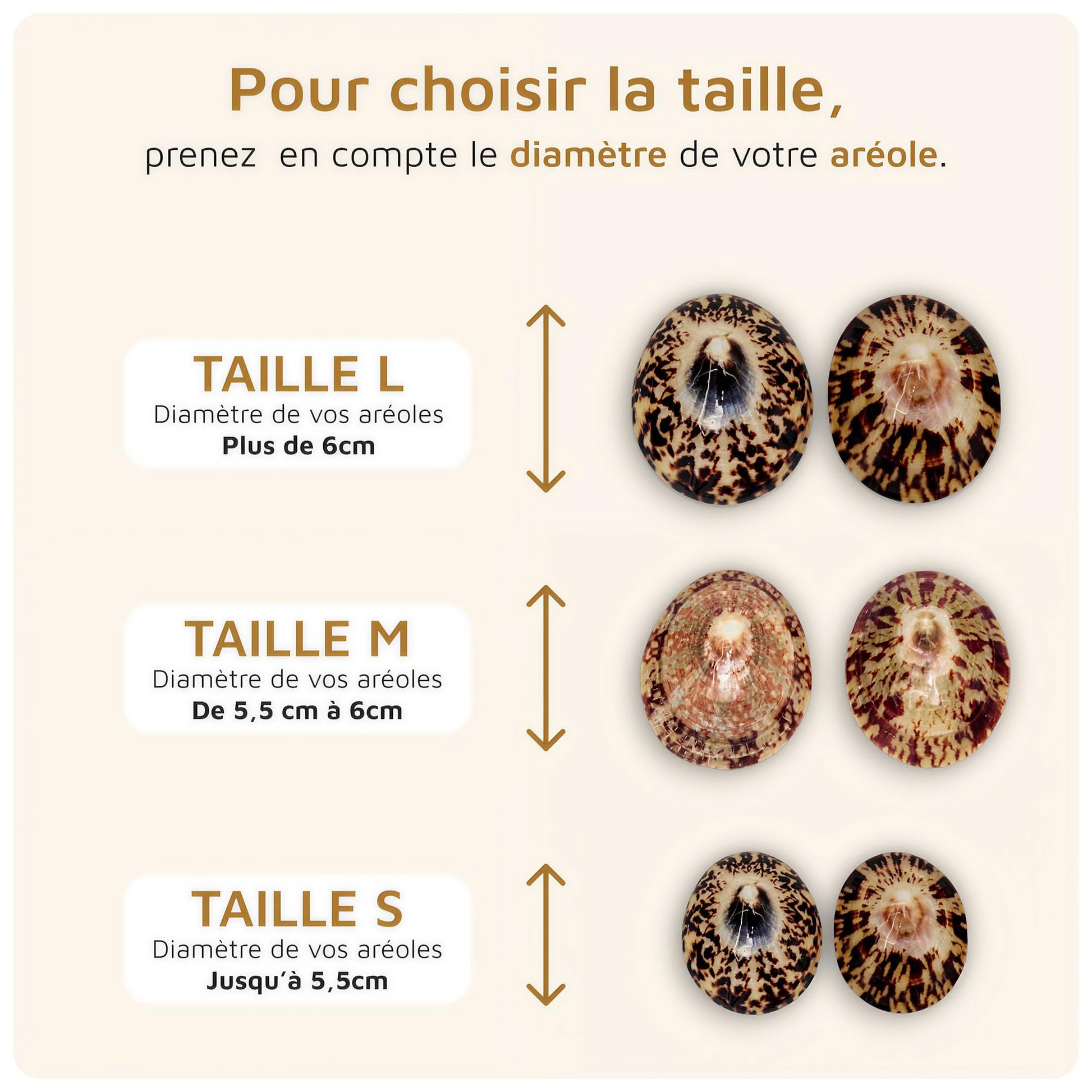 Coquillage nacre allaitement