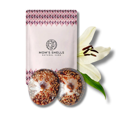 Coquille allaitement crevasse - S - 5/5.5cm - Paire de coquillages