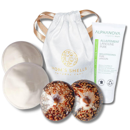 Coquille de protection allaitement - M - 5.5/6cm - Coquillages, lanoline + coussinets