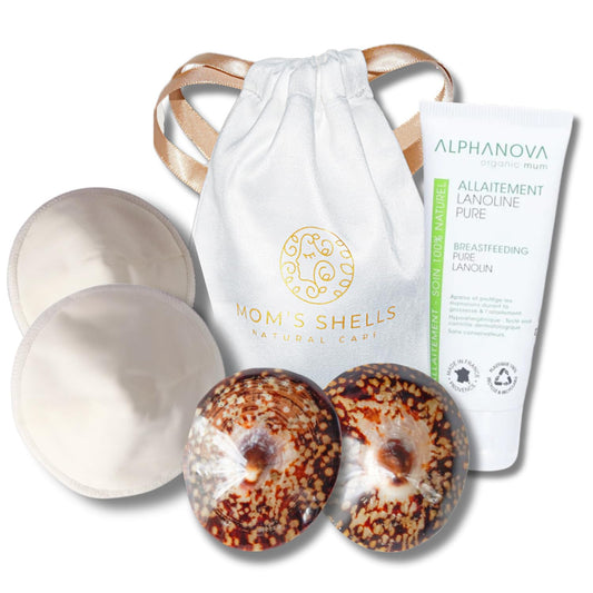 Coquille de protection allaitement - M - 5.5/6cm - Coquillages, lanoline + coussinets