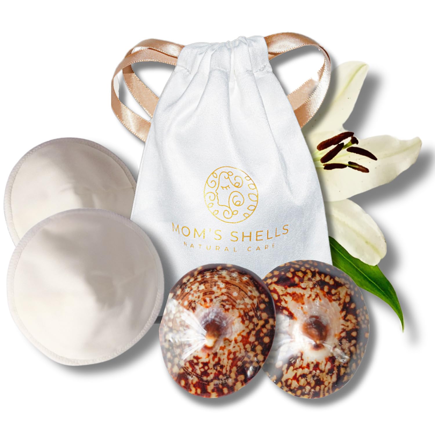 Coquille spécial allaitement - S - 5/5.5cm - Coquillages + coussinets