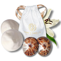 Coquille spécial allaitement - S - 5/5.5cm - Coquillages + coussinets